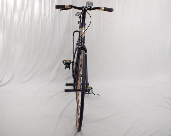 3G Bikes - Taylor Citybike